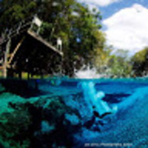 Meet your Posher, Dauntless